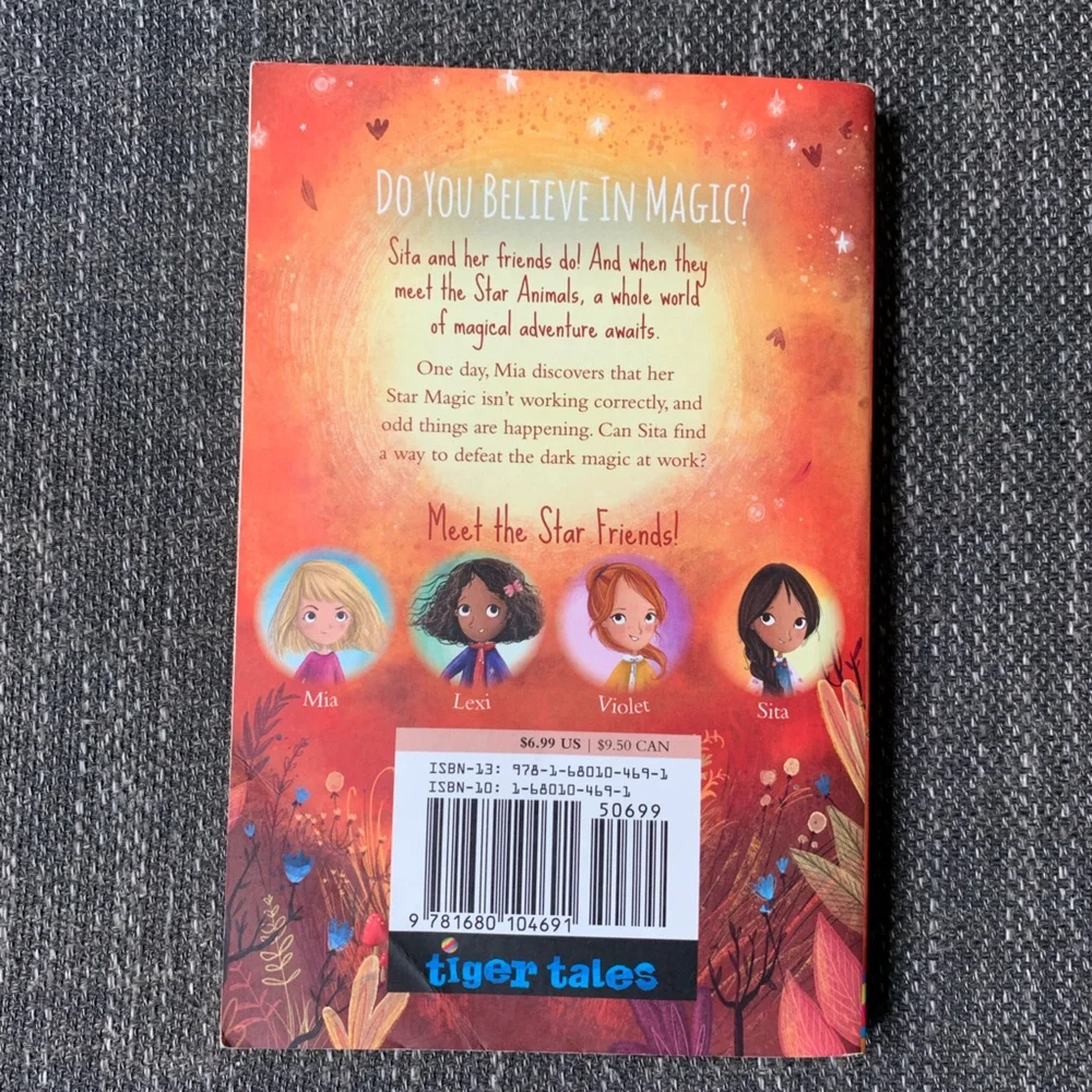 Set of 3 kids chapter books